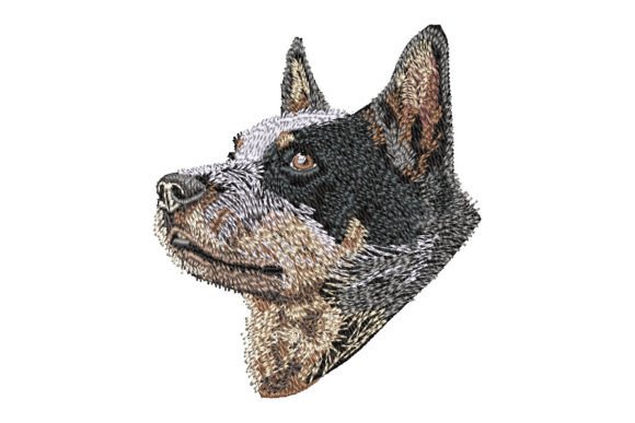 Australian Cattle Dog Embroidery